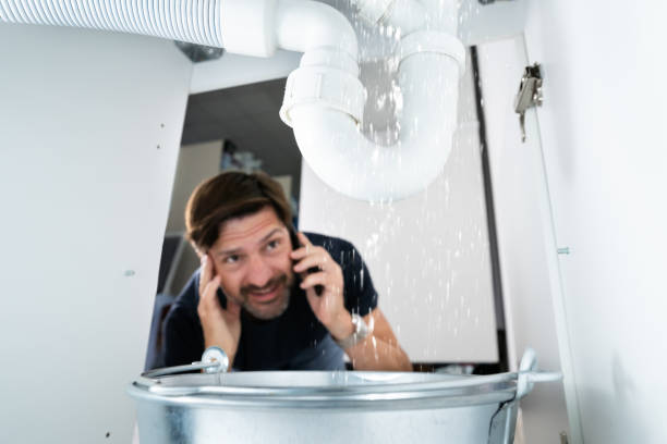 Best Affordable Plumber Near Me  in Bay Pines, FL