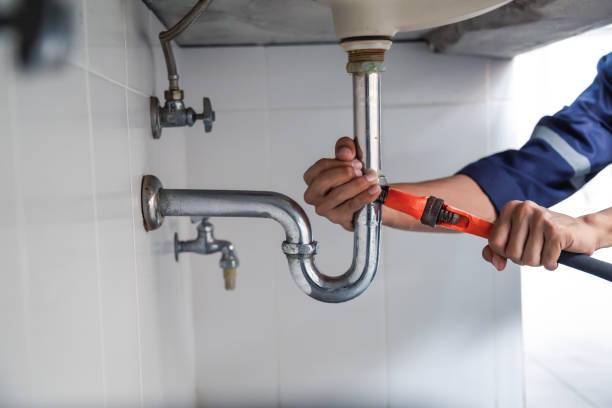 Best Clogged Drain Plumber  in Bay Pines, FL
